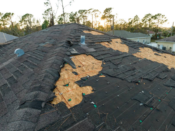 Best Roof Replacement  in Dunmore, PA